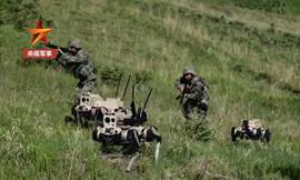 Chinese Army Shows Off New Killer 'Robot Wolves' in Military Drills  Highlighting Advanced Technology | The New York Sun