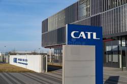 Catl Stock Photos - Free & Royalty-Free Stock Photos from ...